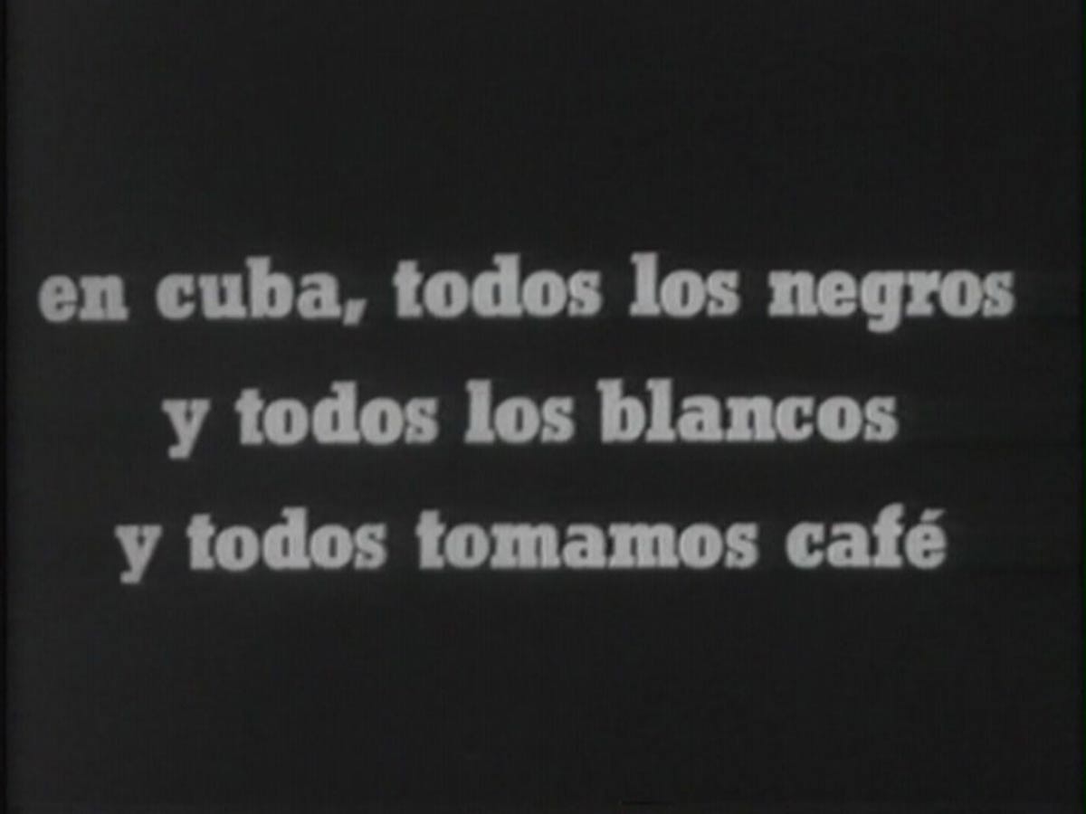 Coffea Arábiga