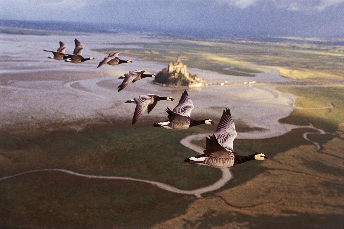 Nómadas del viento