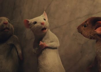 El embrujado regreso de Zemeckis a la pantalla grande