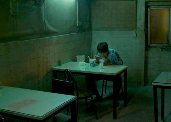 El lago del ganso salvaje