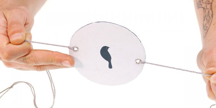 Incitaciones 5: Tres equívocos sobre la imagen dinámica: persistencia retiniana, corporalidad y universalidad